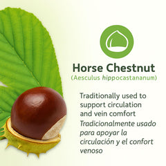 Close-up of natural antioxidant protection from Horse Chestnut plant compounds