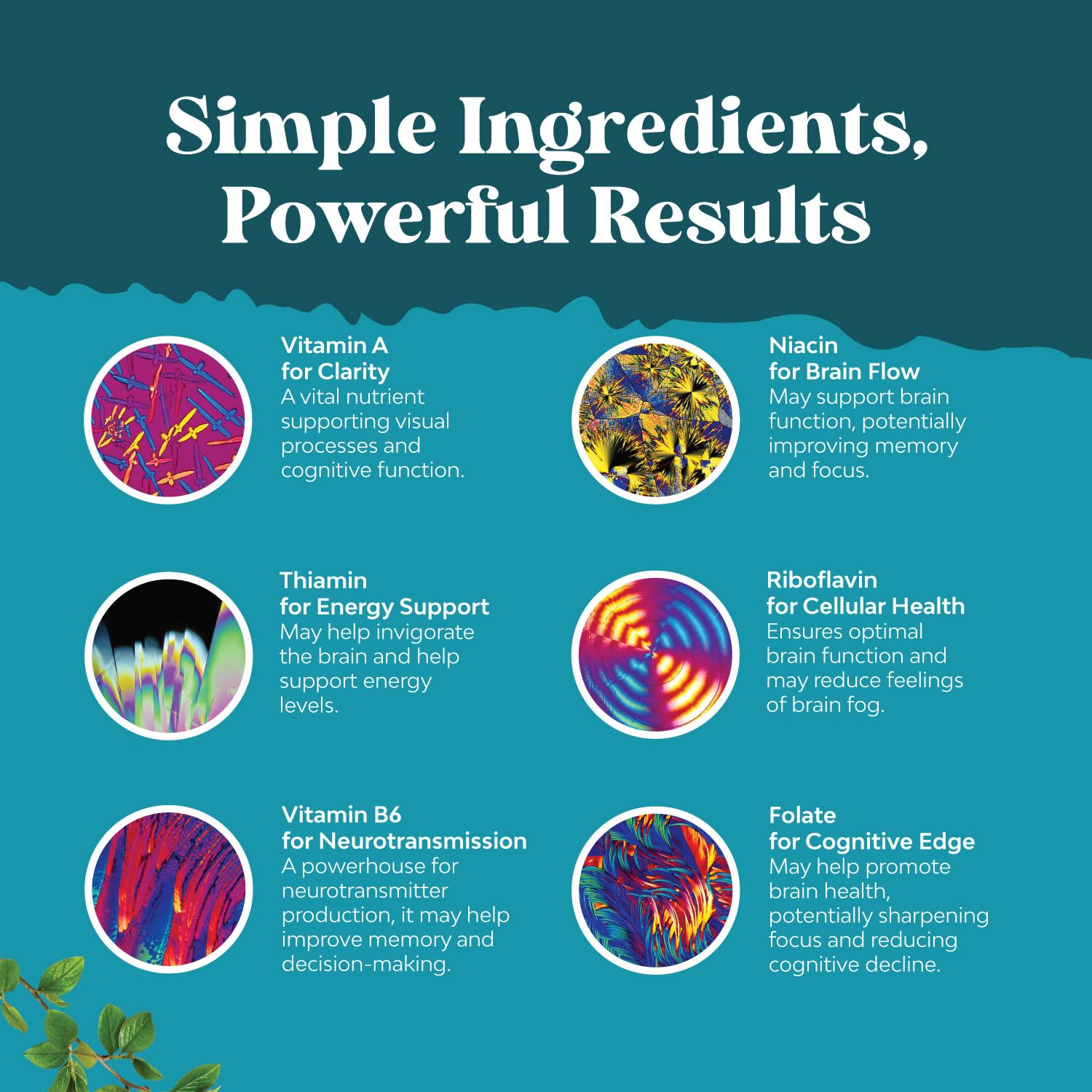 Herbal and vitamin formula for mental clarity