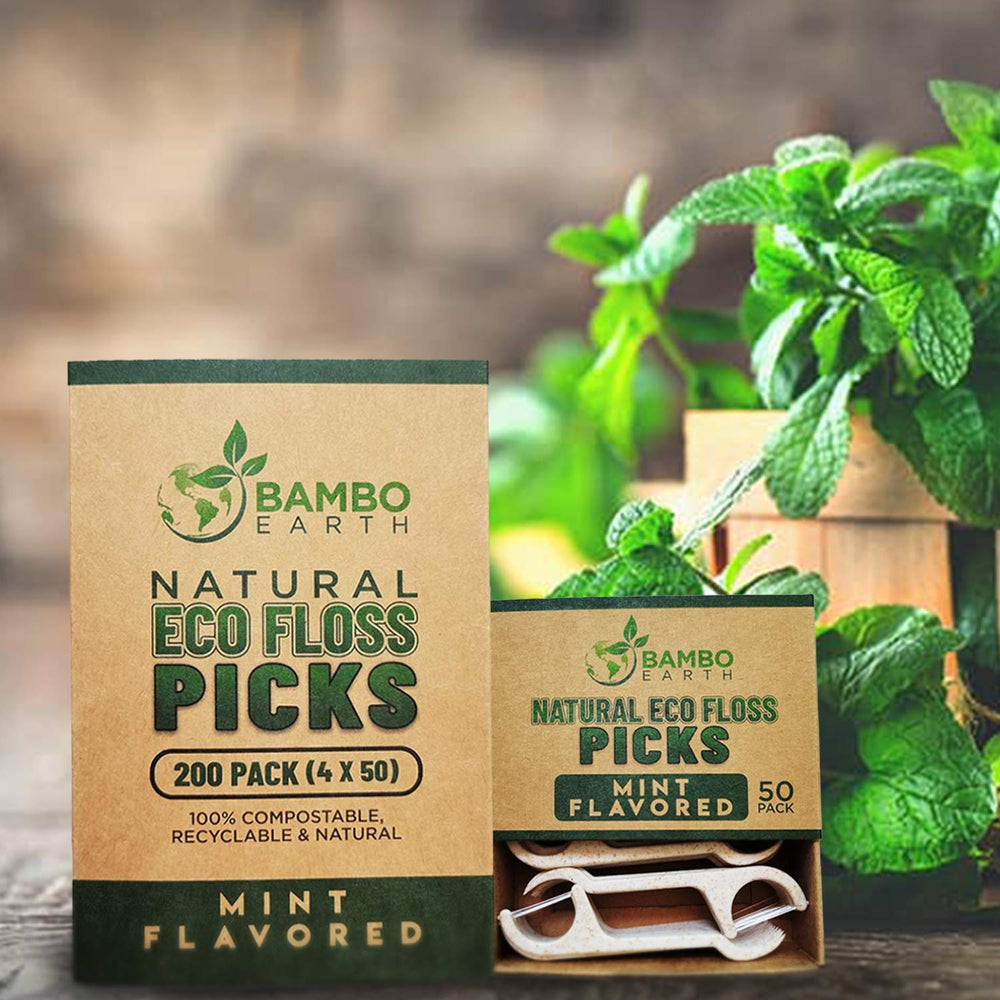 Eco-friendly packaging image of dental floss picks