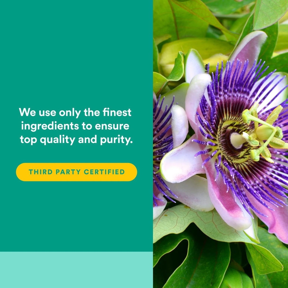 Vegan capsules image for Natural Factors 3 Brains