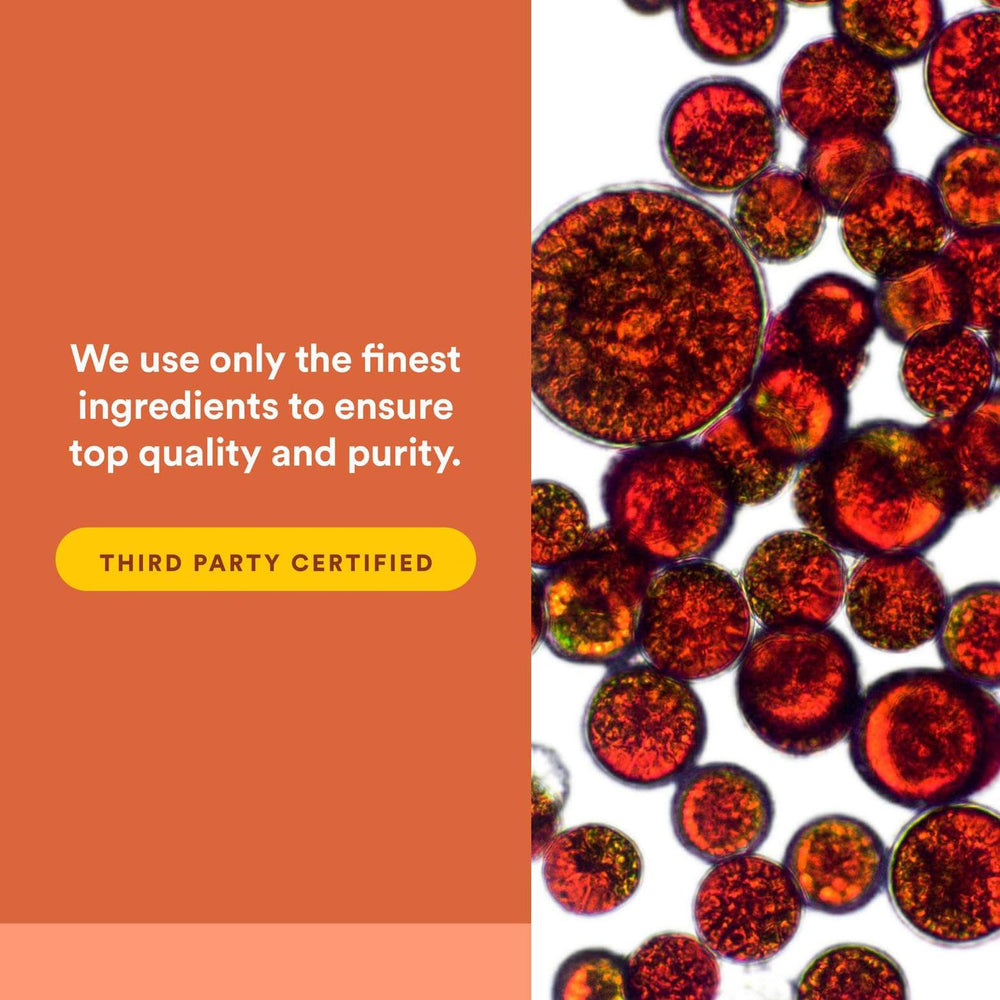 Graphic emphasizing third-party testing and purity assurance