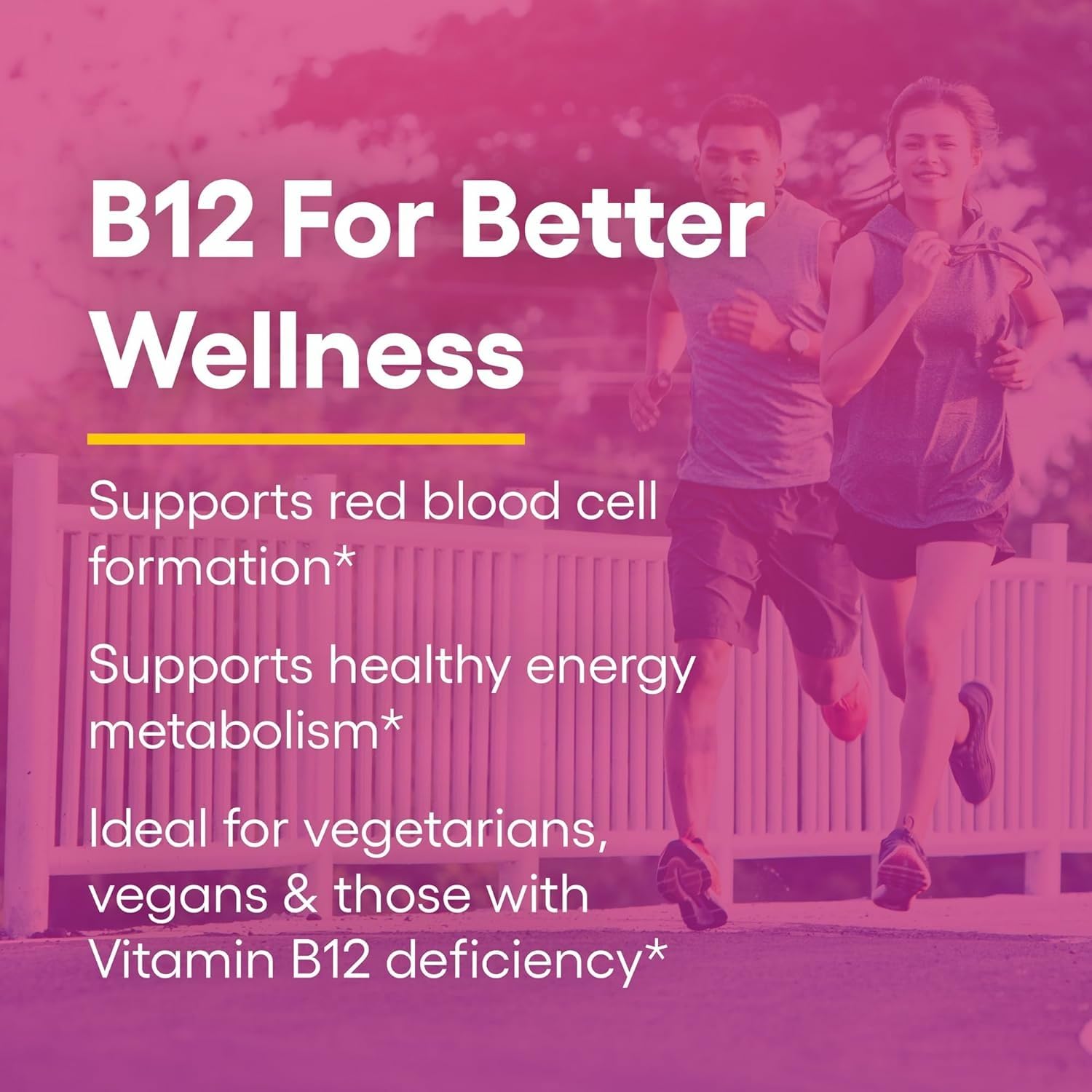Natural Factors B12 methylcobalamin chewable product image