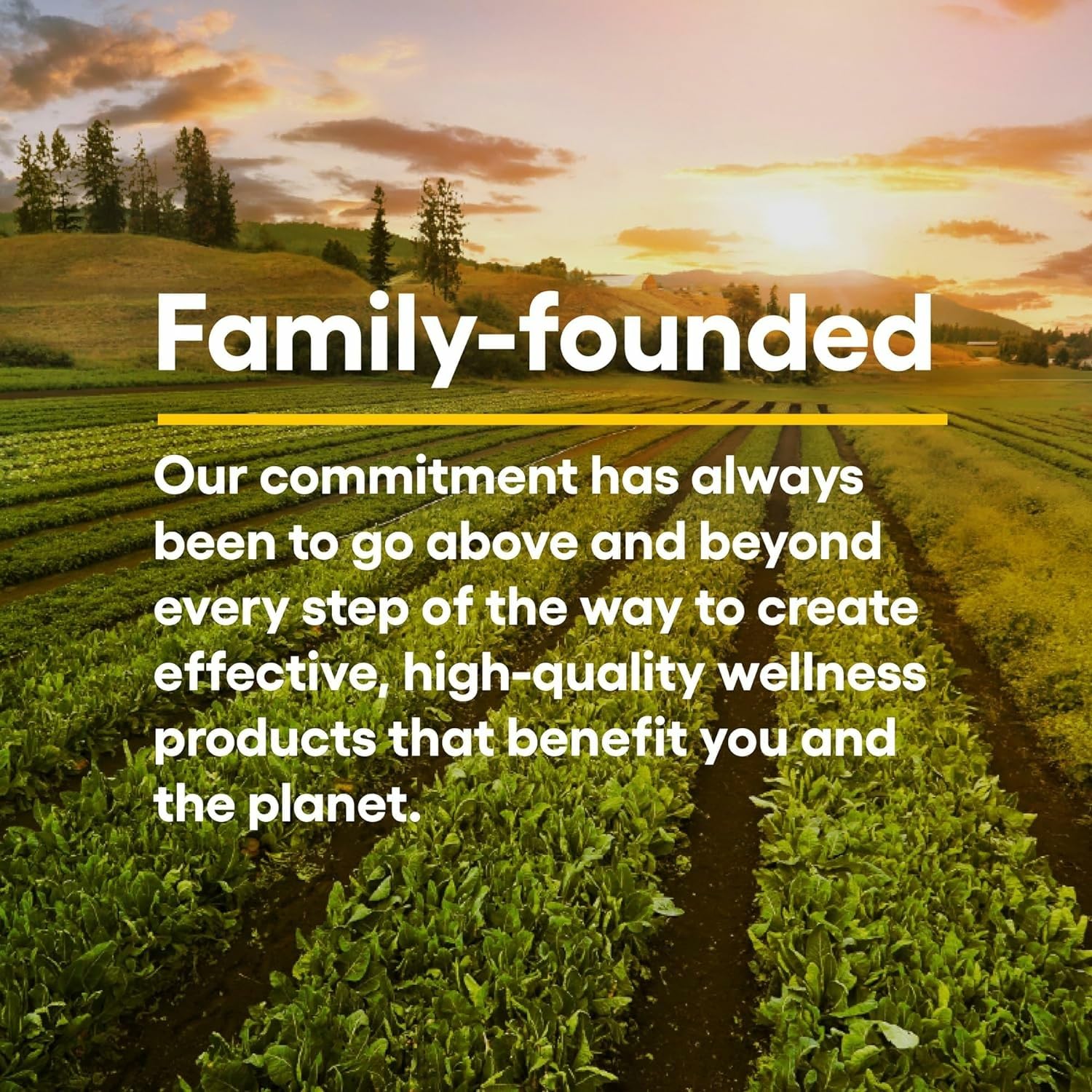 Natural Factors brand bottle and label