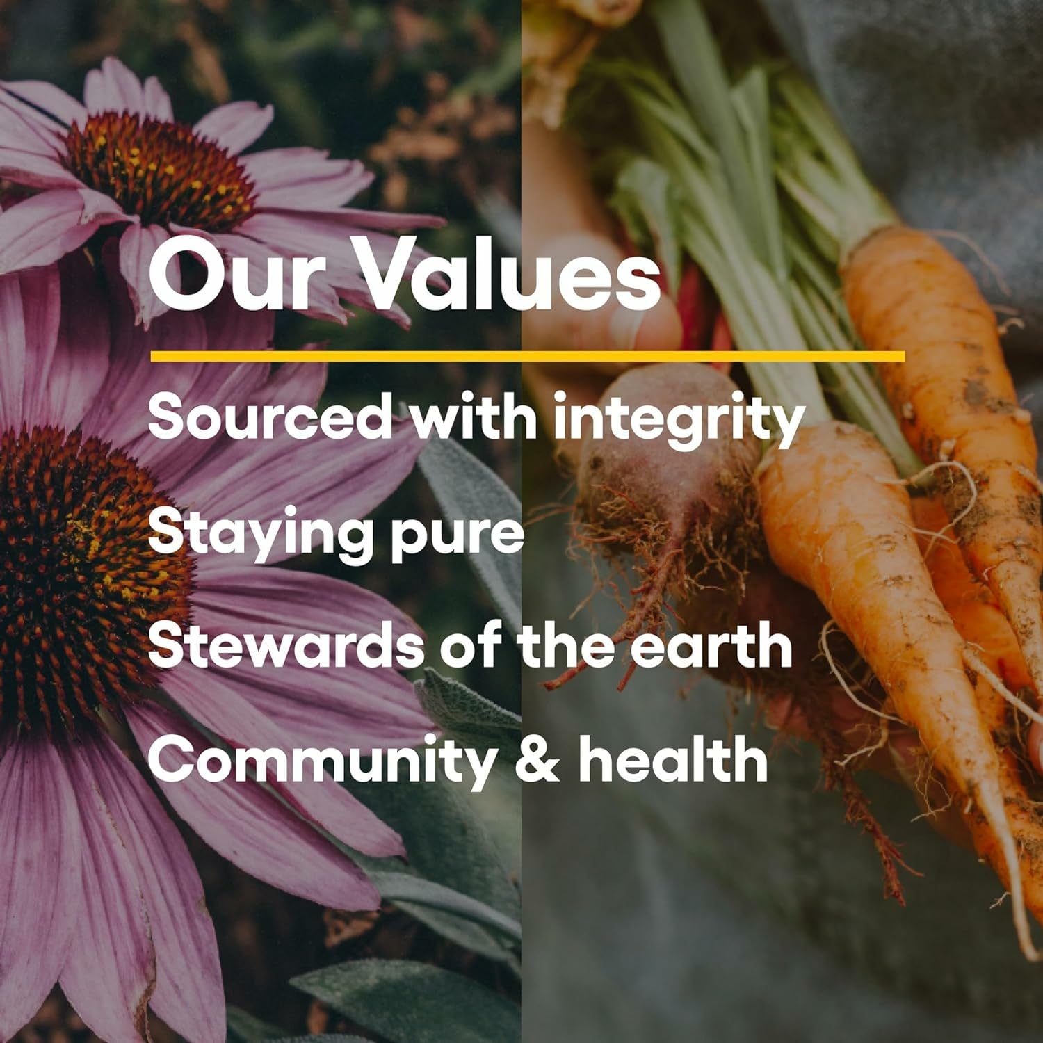 Packaging highlighting Natural Factors sustainability and quality
