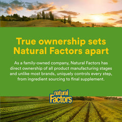 Digestive health illustration featuring Natural Factors ginger chewables