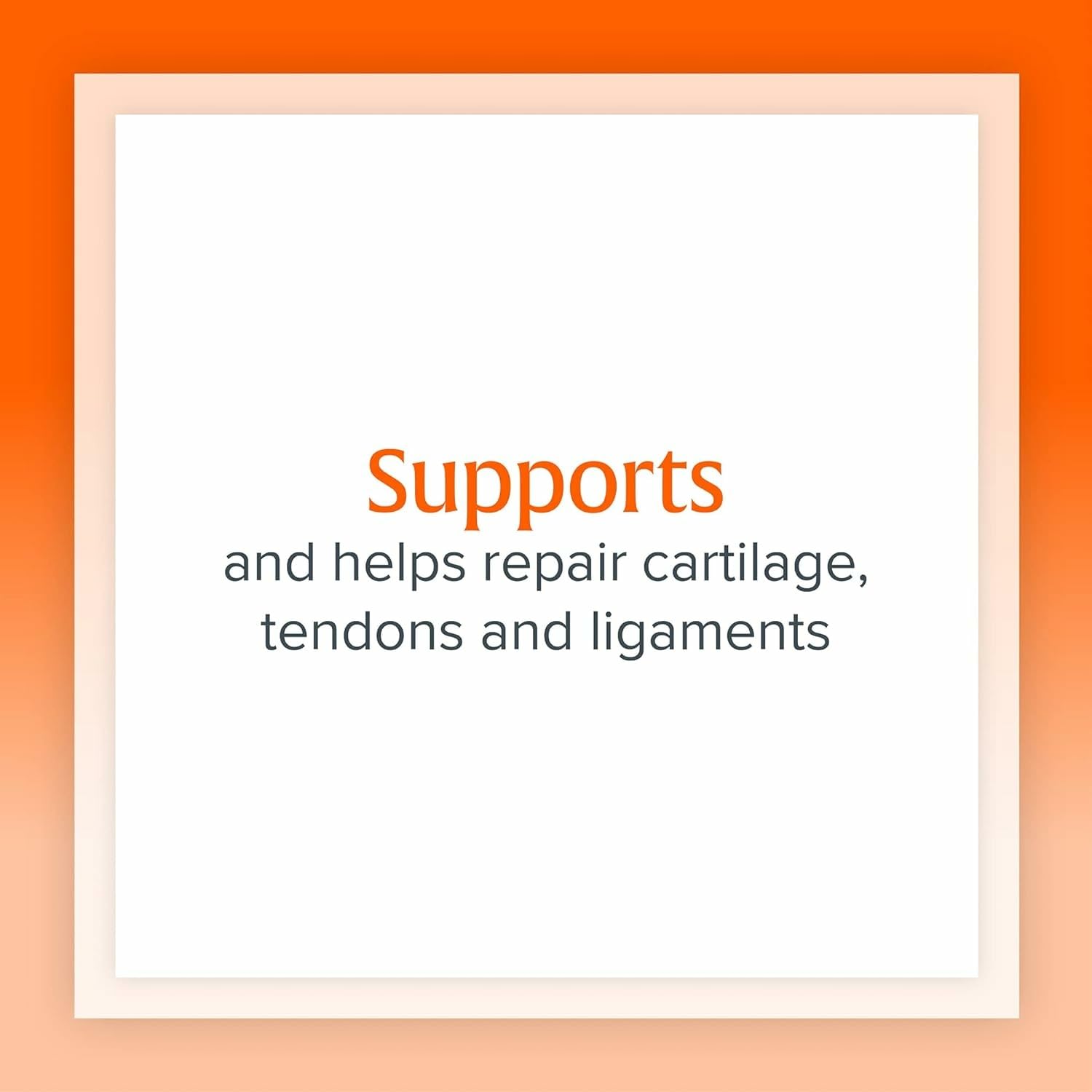 Illustration highlighting joint health and connective tissue support