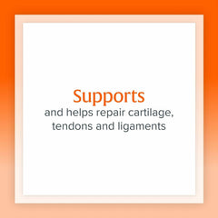 Illustration highlighting joint health and connective tissue support