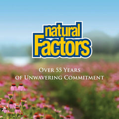 Wellness and immune support concept graphic for Natural Factors supplement