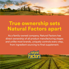 Product shot of Natural Factors Joint MSM Formula 90 capsules