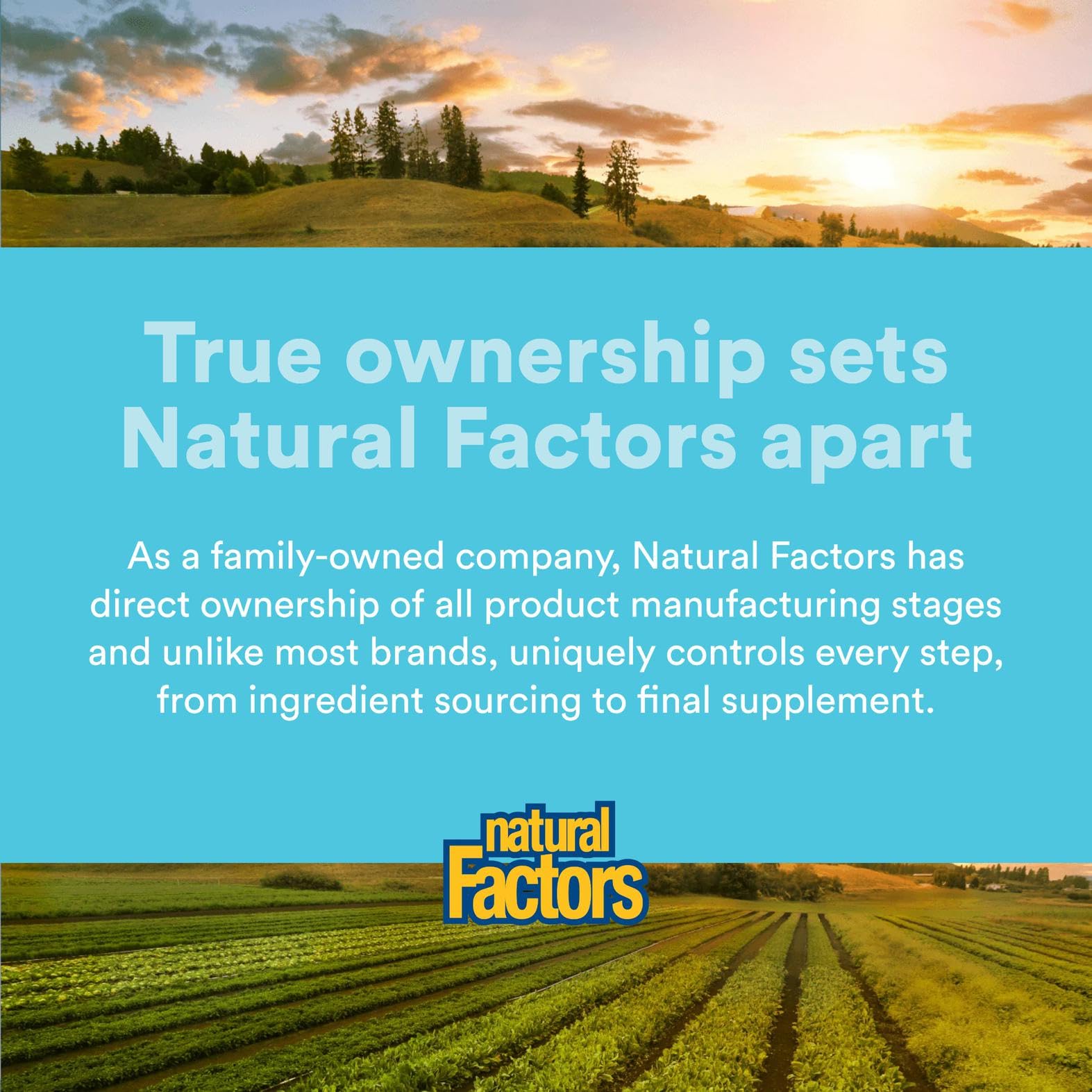 Natural Factors MenoSense morning routine image for daily use