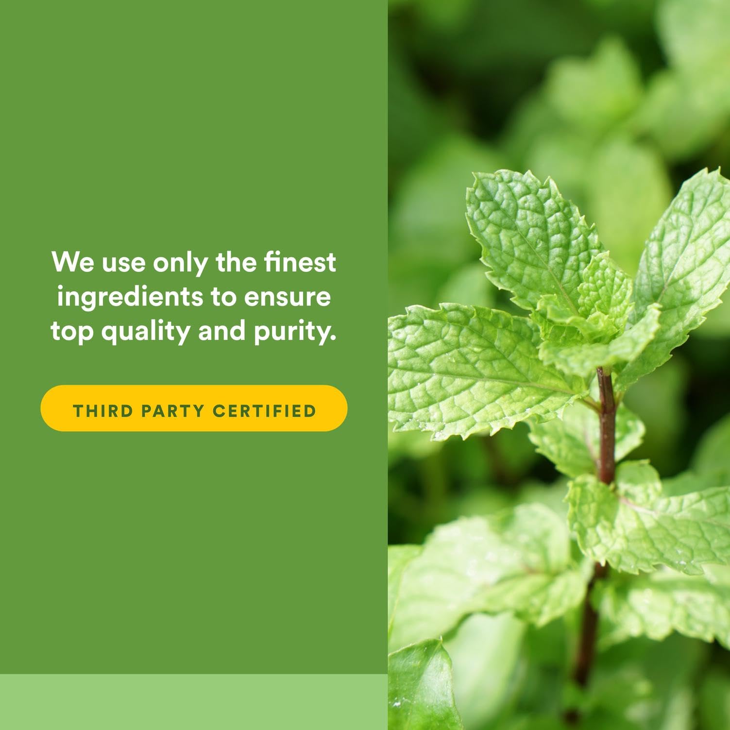 Organic non-GMO Natural Factors Farms facilities