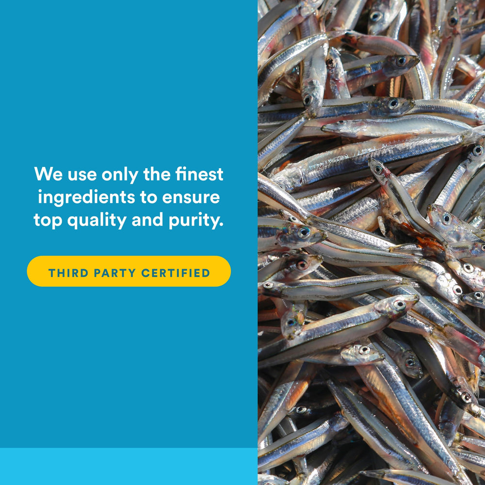 Natural Factors logo and packaging highlight family-owned, carbon-neutral manufacturing ethos