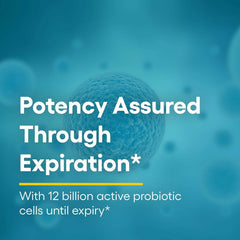 Graphic highlighting 12B CFU and 10 probiotic strains