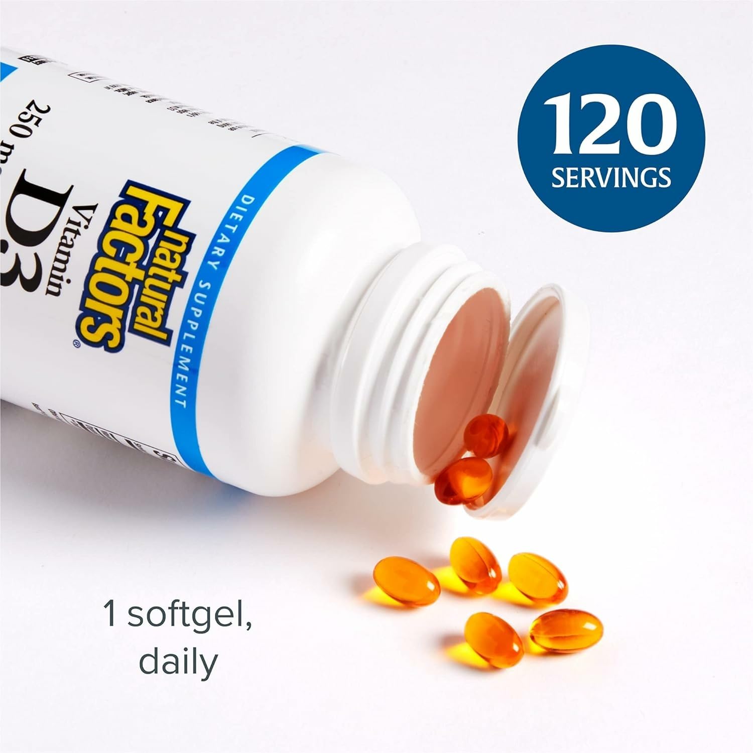 Graphic showing bone health and immune support