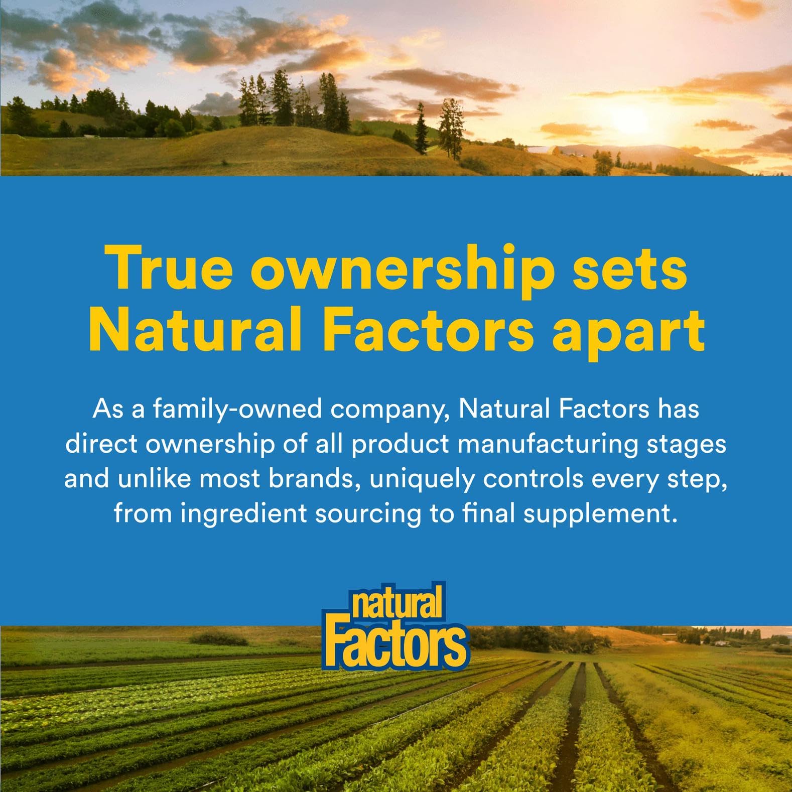 Top view of Natural Factors Vitamin K2 MK-7 packaging