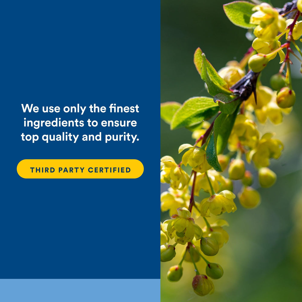 Gluten-free and vegan Berberine supplement packaging