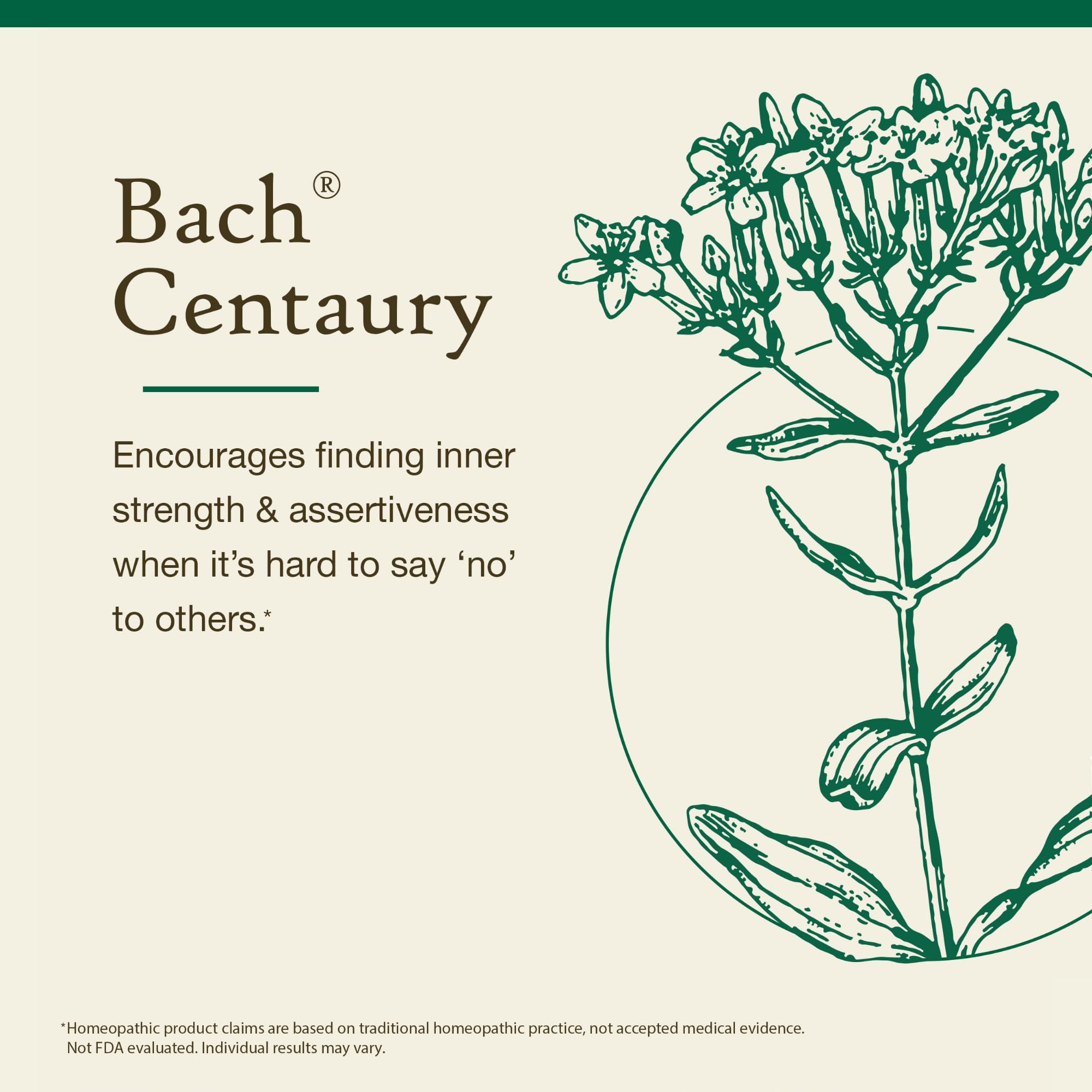 Concept image: Dr. Edward Bach's Flower Remedies (38 remedies)