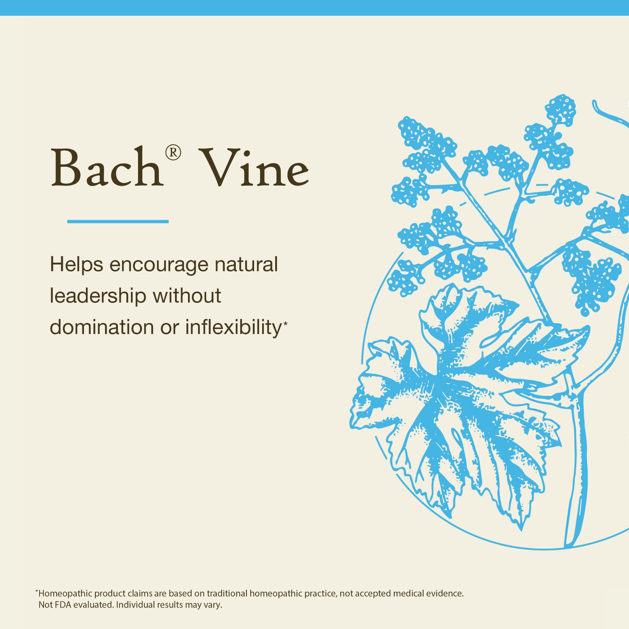 Natural Bach flower remedies system with 38 remedies