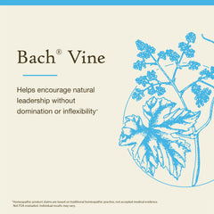 Natural Bach flower remedies system with 38 remedies