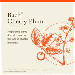 Dr. Bach natural flower remedies for emotional balance