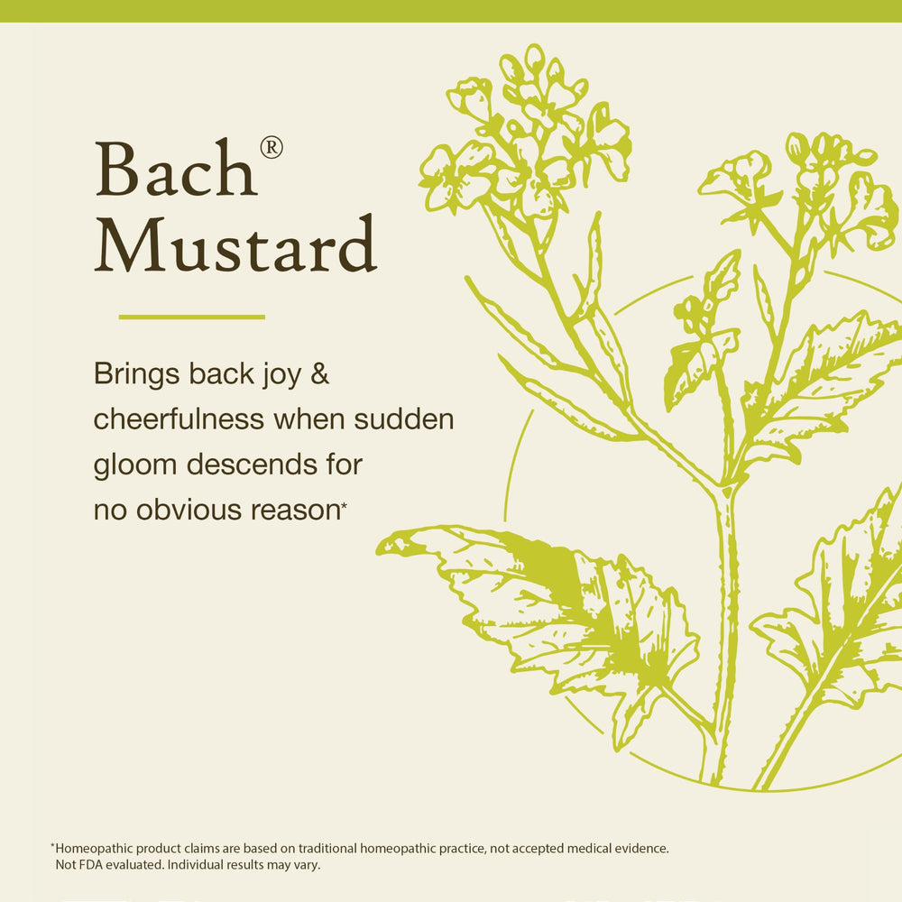 Natural Bach Flower Remedy Mustard by Dr. Bach