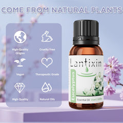 Fragrance and natural aroma of eucalyptus oil