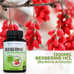 All natural ingredients label with no artificial additives