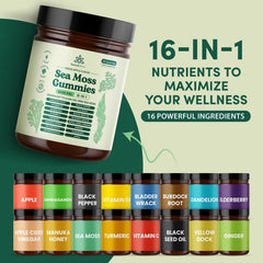 Natural Rems Sea Moss Gummies bottle close-up for convenient daily wellness support