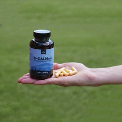 Energy, focus, and calm imagery related to B vitamins
