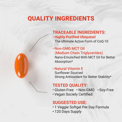 Vitamin E protection against Ubiquinol oxidation