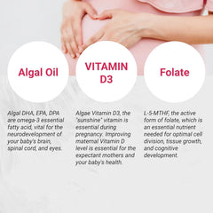 Algae DHA/EPA/DPA softgels image