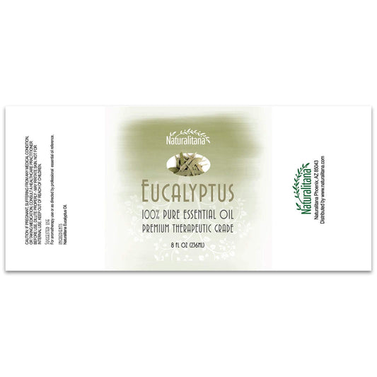 Eucalyptus essential oil for diffuser and aromatherapy