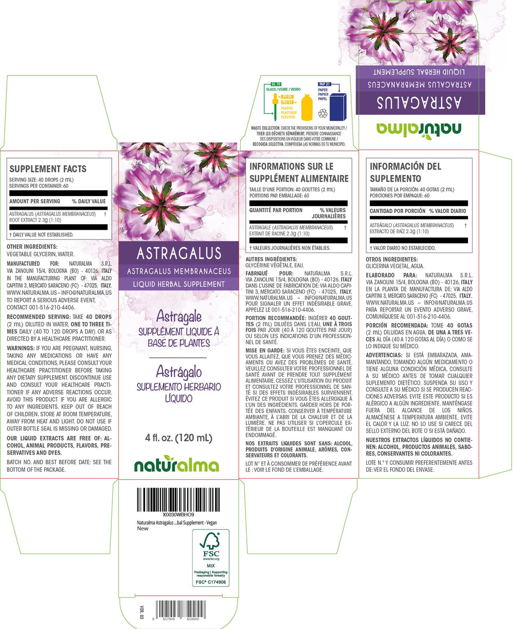 Astragalus membranaceus liquid extract bottle 4 oz