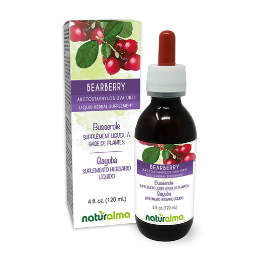 Naturalma Bearberry leaf tincture bottle 4 oz with 1:10 extract