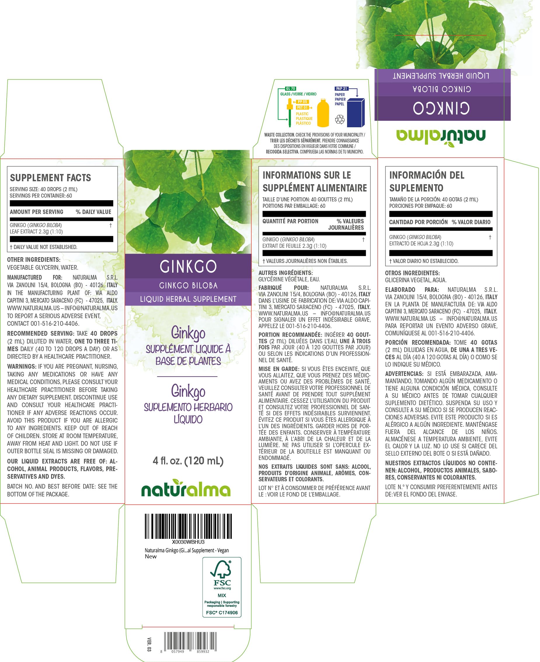 Ginkgo biloba tincture drops in bottle