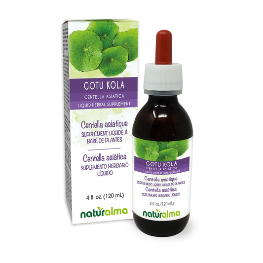 Front view of Naturalma Gotu Kola tincture 4 oz bottle