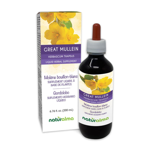 Naturalma Great Mullein tincture bottle with dropper