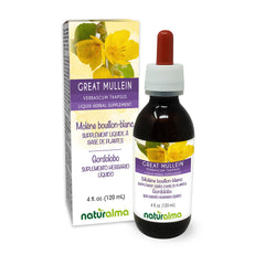 Naturalma Great Mullein Tincture 4 oz bottle with dropper