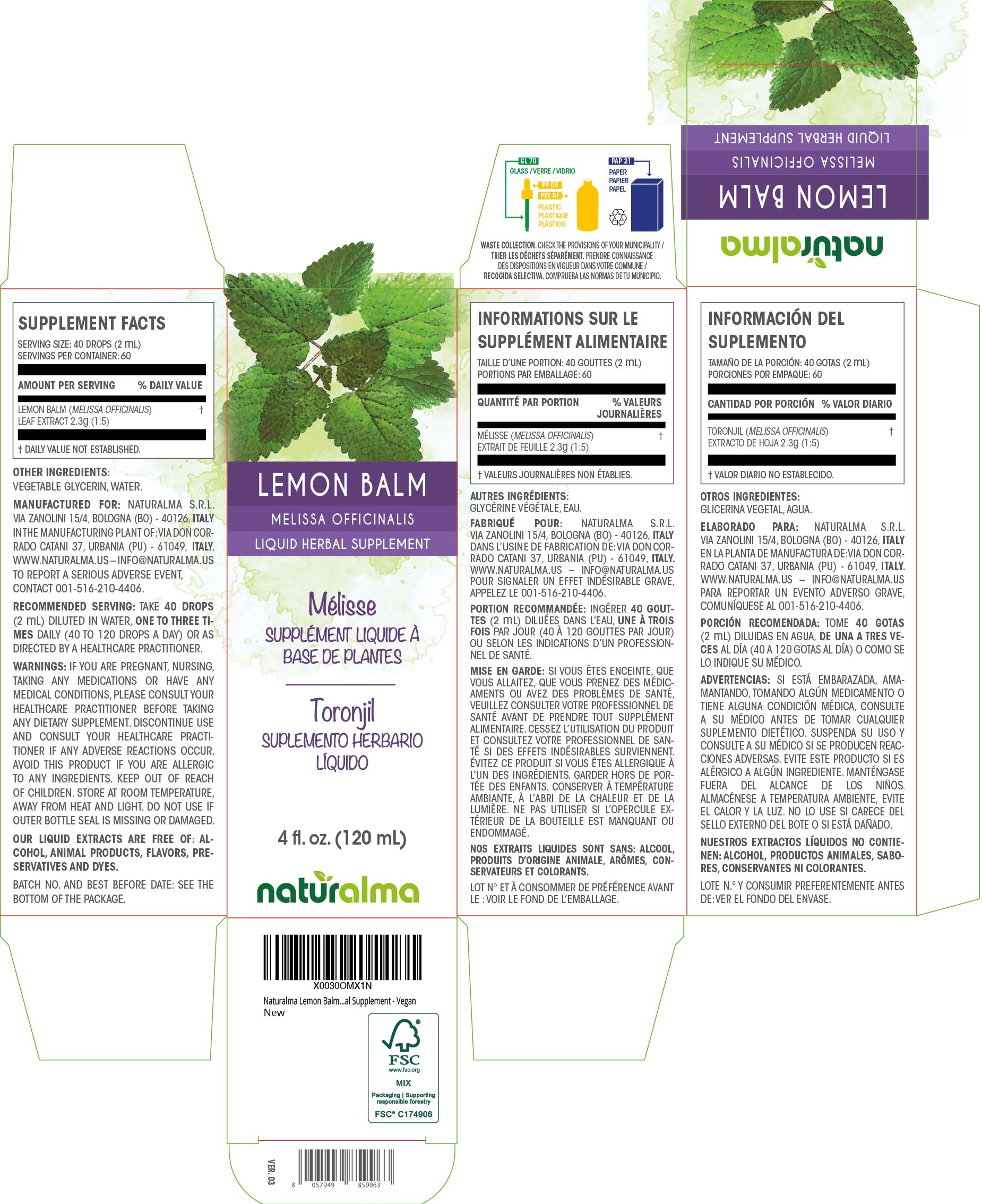 Close-up of Melissa officinalis leaves used in the tincture