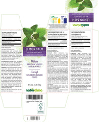 Close-up of Melissa officinalis leaves used in the tincture