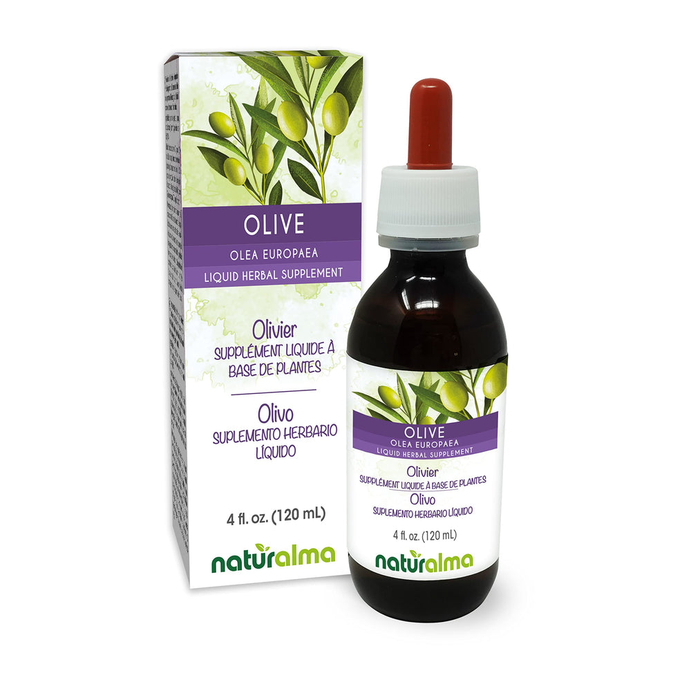 Naturalma Olive Leaf Alcohol-Free Tincture bottle 4 oz
