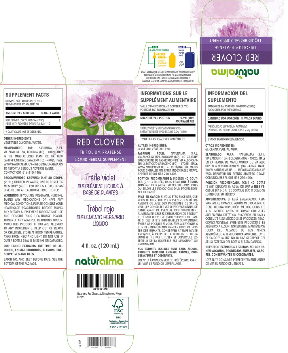 Liquid extract in drops of red clover herb with flowers