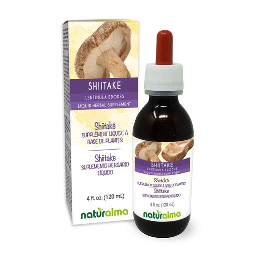 Naturalma shiitake tincture 4 oz bottle
