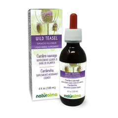 Naturalma Wild Teasel root tincture bottle front view