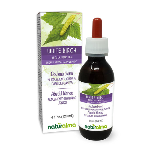 Naturalma White Birch leaf tincture bottle with label