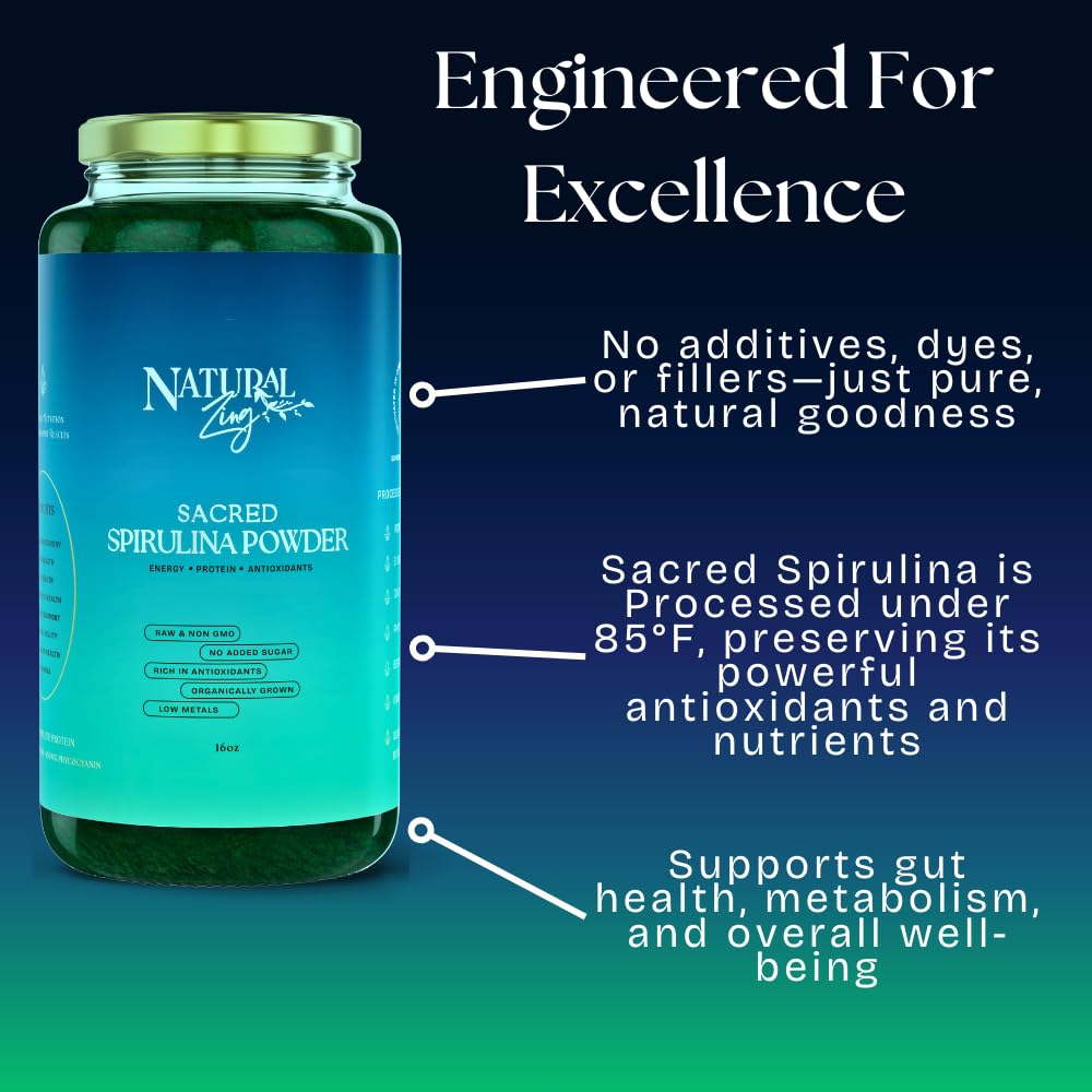 Scoop of spirulina powder ready to blend