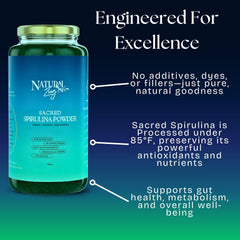 Scoop of spirulina powder ready to blend