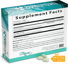 Extended-release DAO enzyme tablet design
