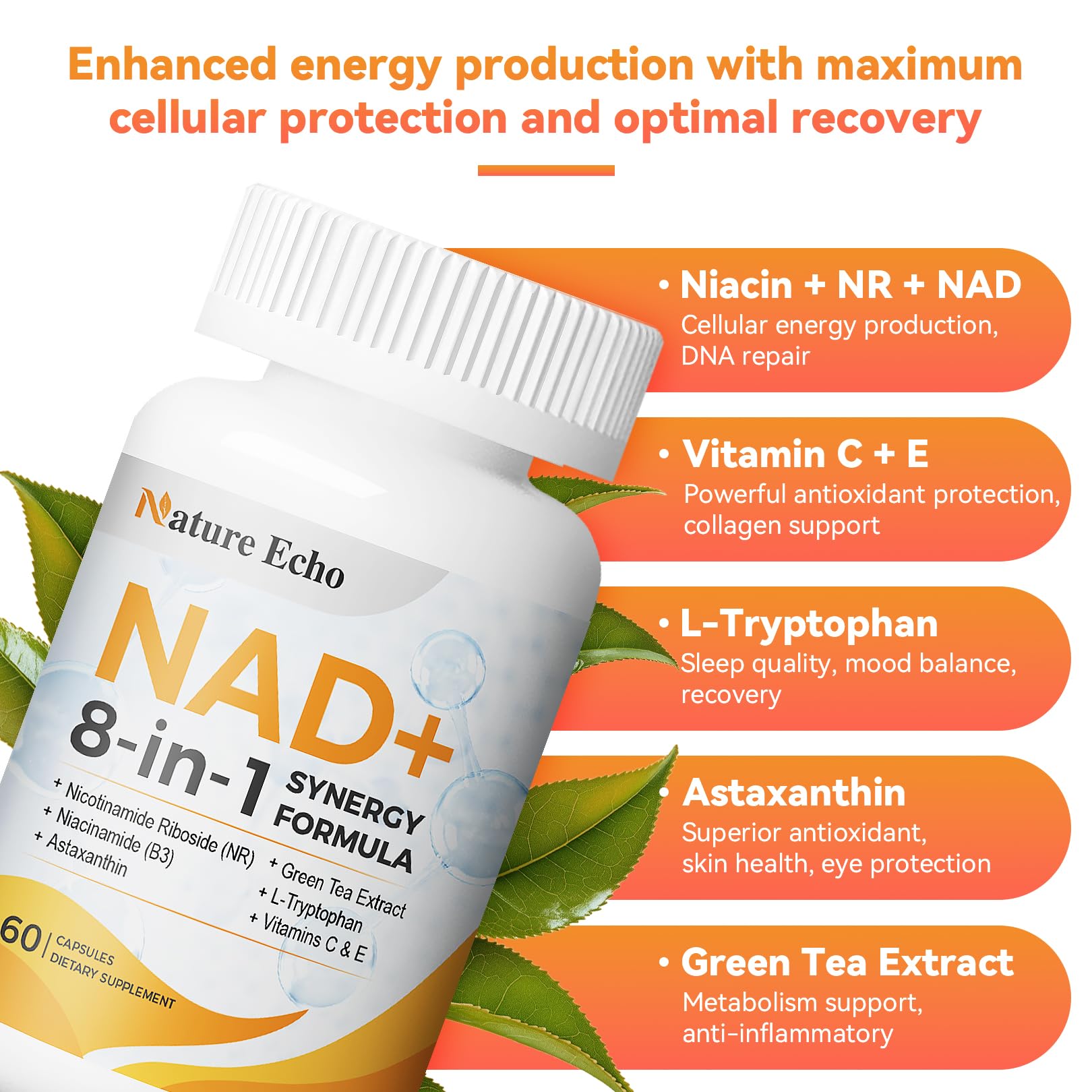 Ingredients view showing Niacinamide (B3), Nicotinamide Riboside, astaxanthin and green tea extract