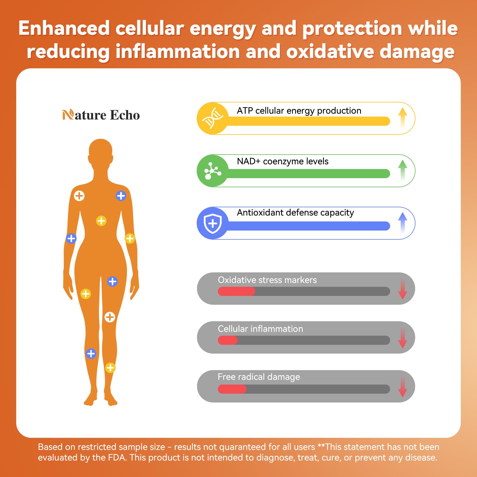 60-capsule bottle of Nature Echo supplement